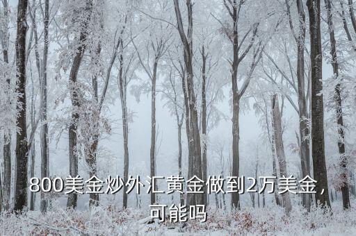 800美金炒外匯黃金做到2萬美金，可能嗎