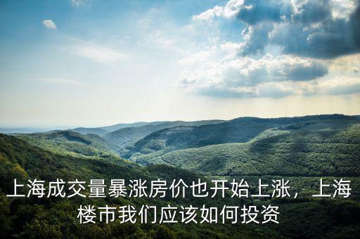 上海成交量暴漲房價也開始上漲，上海樓市我們應該如何投資