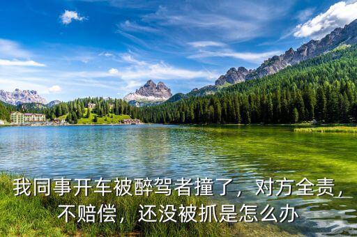 我同事開車被醉駕者撞了，對方全責，不賠償，還沒被抓是怎么辦