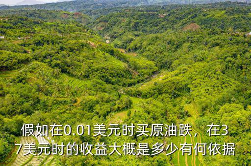 假如在0.01美元時(shí)買(mǎi)原油跌，在37美元時(shí)的收益大概是多少有何依據(jù)