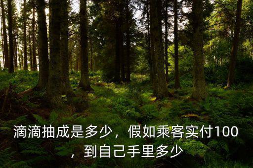 滴滴打車(chē)平臺(tái)抽多少,到自己手里多少