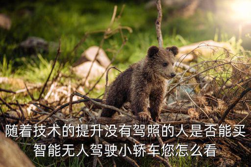 無(wú)人駕駛的有什么車,以后的車都是無(wú)人駕駛了