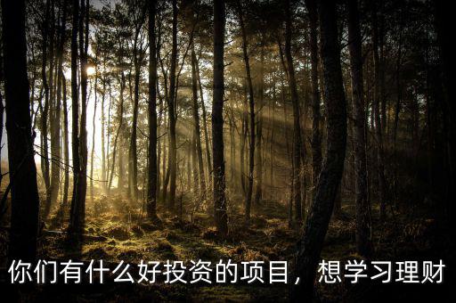 你們有什么好投資的項目，想學(xué)習(xí)理財