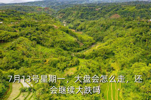 7月13號(hào)星期一，大盤會(huì)怎么走，還會(huì)繼續(xù)大跌嗎