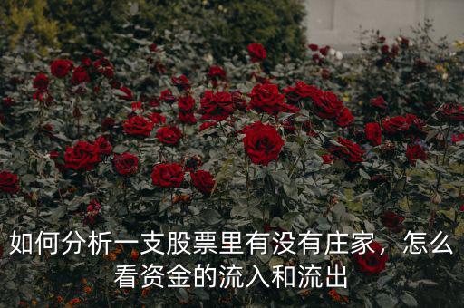 如何分析一支股票里有沒有莊家，怎么看資金的流入和流出