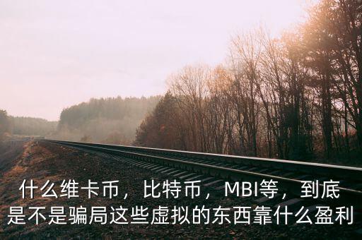 什么維卡幣，比特幣，MBI等，到底是不是騙局這些虛擬的東西靠什么盈利