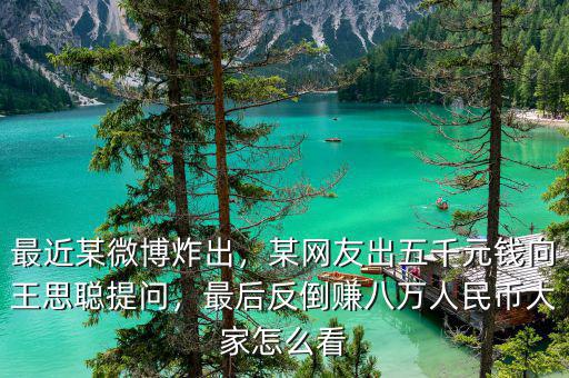 最近某微博炸出，某網(wǎng)友出五千元錢向王思聰提問，最后反倒賺八萬人民幣大家怎么看