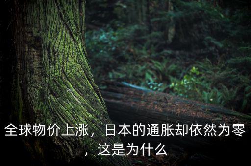 日本為什么沒有通脹,日本卻在想辦法發(fā)生通脹