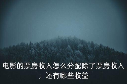 電影的票房收入怎么分配除了票房收入，還有哪些收益
