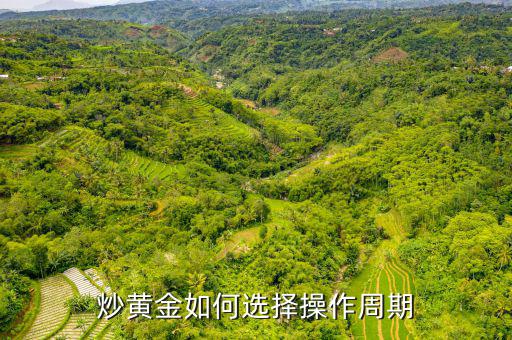 國際黃金怎么炒,炒黃金怎么炒