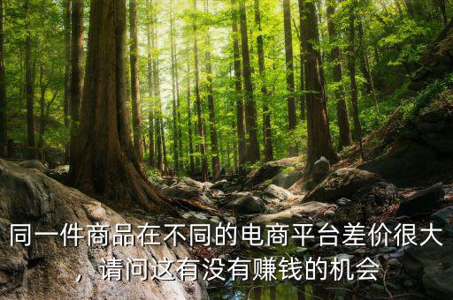 同一件商品在不同的電商平臺(tái)差價(jià)很大，請問這有沒有賺錢的機(jī)會(huì)