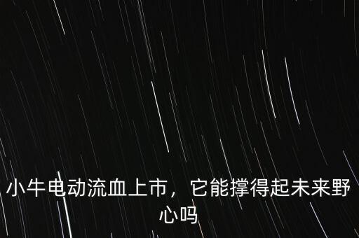 小牛電動(dòng)流血上市，它能撐得起未來(lái)野心嗎