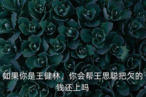如果你是王健林，你會幫王思聰把欠的錢還上嗎