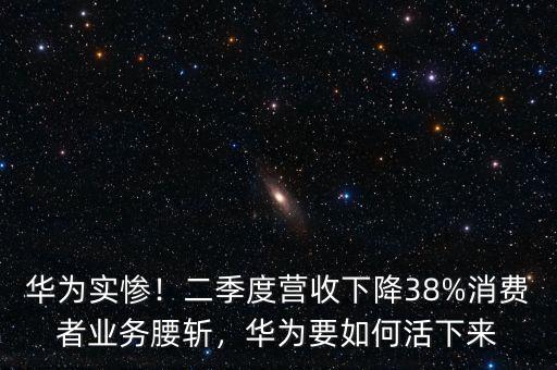 華為實慘！二季度營收下降38%消費者業(yè)務(wù)腰斬，華為要如何活下來