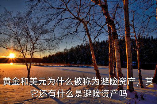 黃金和美元為什么被稱為避險資產，其它還有什么是避險資產嗎