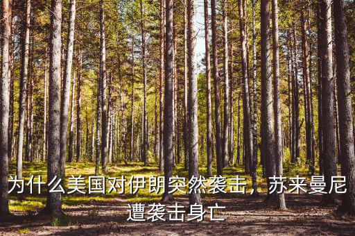 為什么美國對伊朗突然襲擊，蘇來曼尼遭襲擊身亡