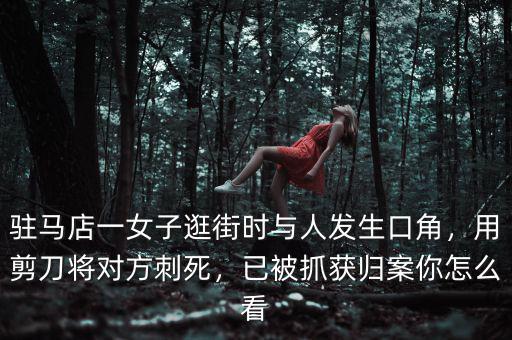 駐馬店一女子逛街時(shí)與人發(fā)生口角，用剪刀將對(duì)方刺死，已被抓獲歸案你怎么看