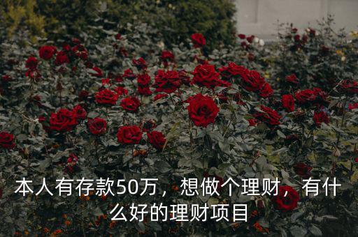 本人有存款50萬，想做個理財，有什么好的理財項目