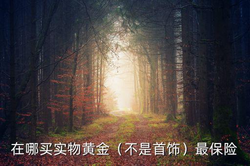 在哪買實(shí)物黃金（不是首飾）最保險