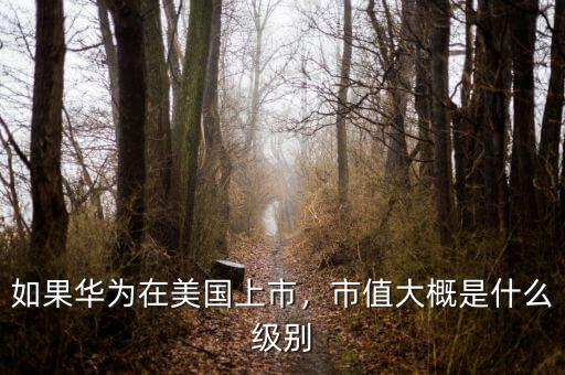 如果華為在美國(guó)上市，市值大概是什么級(jí)別