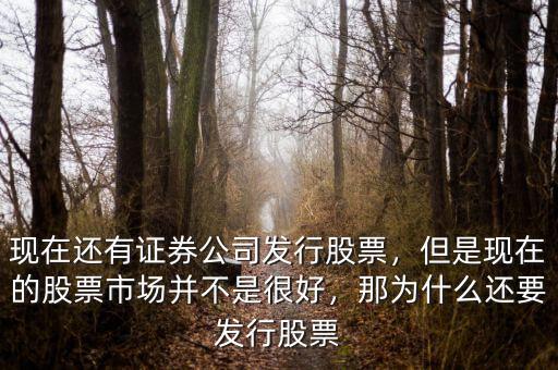 現(xiàn)在還有證券公司發(fā)行股票，但是現(xiàn)在的股票市場(chǎng)并不是很好，那為什么還要發(fā)行股票