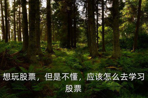 想玩股票，但是不懂，應(yīng)該怎么去學習股票