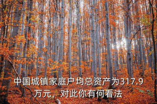 中國城鎮(zhèn)家庭戶均總資產(chǎn)為317.9萬元，對此你有何看法