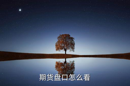 期貨盤(pán)口怎么看