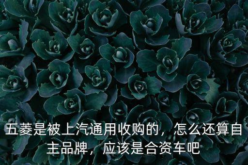 五菱是被上汽通用收購的，怎么還算自主品牌，應該是合資車吧
