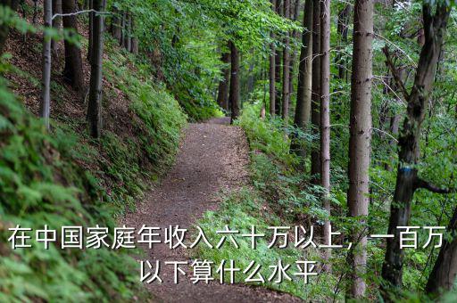 在中國(guó)家庭年收入六十萬(wàn)以上，一百萬(wàn)以下算什么水平