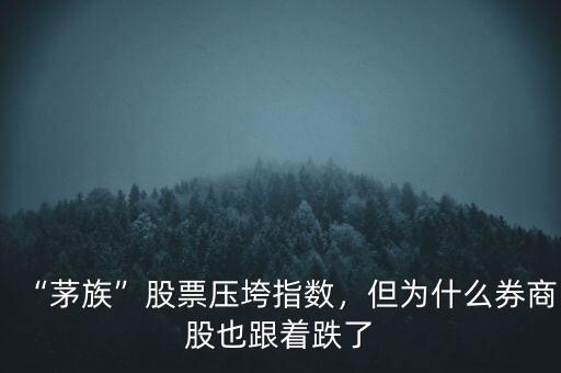 “茅族”股票壓垮指數(shù)，但為什么券商股也跟著跌了