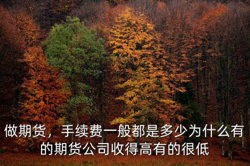 做期貨，手續(xù)費(fèi)一般都是多少為什么有的期貨公司收得高有的很低
