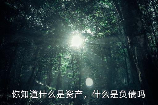 你知道什么是資產(chǎn)，什么是負(fù)債嗎