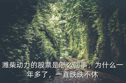 濰柴動(dòng)力的股票是怎么回事，為什么一年多了，一直跌跌不休