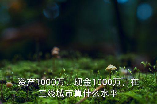 資產(chǎn)1000萬，現(xiàn)金1000萬，在三線城市算什么水平