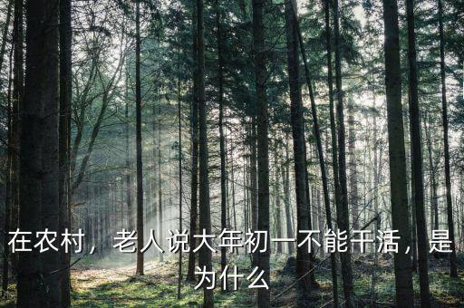 在農(nóng)村，老人說(shuō)大年初一不能干活，是為什么