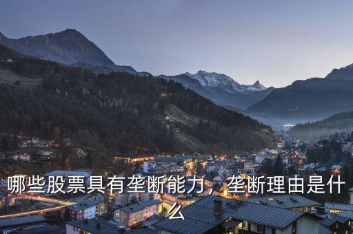 哪些股票具有壟斷能力，壟斷理由是什么