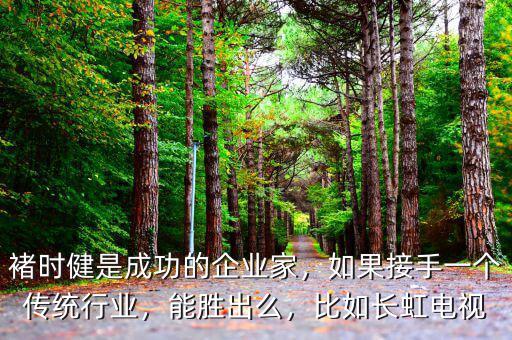 褚時健是成功的企業(yè)家，如果接手一個傳統(tǒng)行業(yè)，能勝出么，比如長虹電視