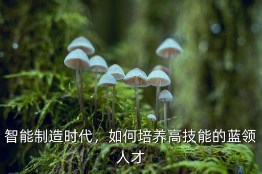 智能制造時代，如何培養(yǎng)高技能的藍領(lǐng)人才