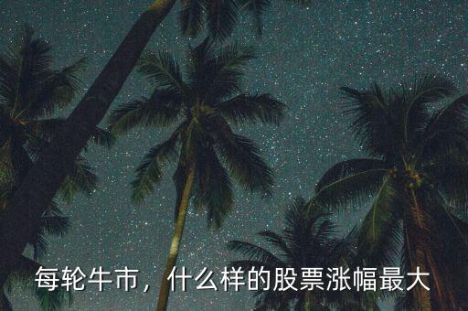每輪牛市，什么樣的股票漲幅最大
