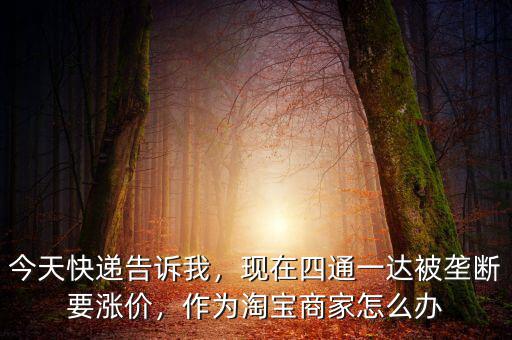 今天快遞告訴我，現(xiàn)在四通一達(dá)被壟斷要漲價(jià)，作為淘寶商家怎么辦