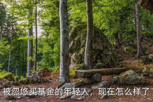 年輕人買(mǎi)基金怎么樣,被忽悠買(mǎi)基金的年輕人