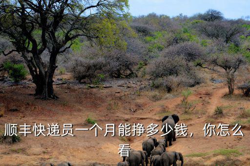 順豐快遞員一個(gè)月能掙多少錢，你怎么看