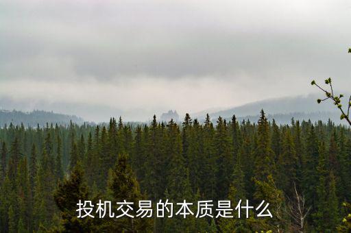 什么叫貨幣投機(jī),購(gòu)買加密貨幣是投資還是投機(jī)