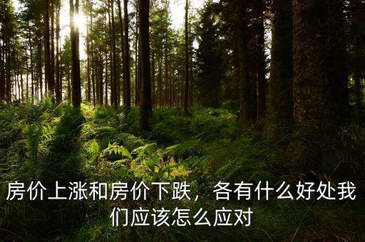 房?jī)r(jià)上漲和房?jī)r(jià)下跌，各有什么好處我們應(yīng)該怎么應(yīng)對(duì)