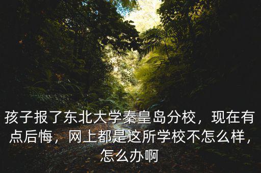 孩子報(bào)了東北大學(xué)秦皇島分校，現(xiàn)在有點(diǎn)后悔，網(wǎng)上都是這所學(xué)校不怎么樣，怎么辦啊