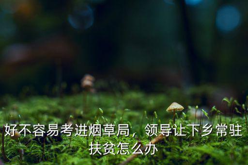 好不容易考進(jìn)煙草局，領(lǐng)導(dǎo)讓下鄉(xiāng)常駐扶貧怎么辦