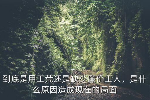 到底是用工荒還是缺少廉價(jià)工人，是什么原因造成現(xiàn)在的局面
