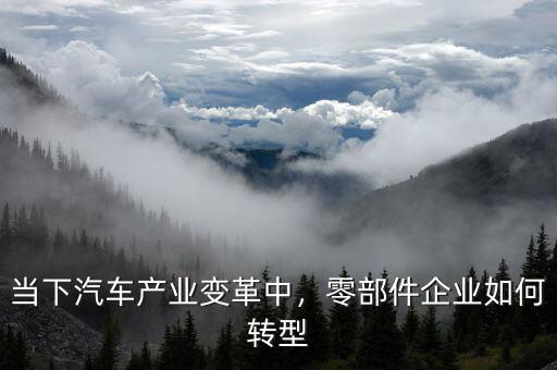 當(dāng)下汽車產(chǎn)業(yè)變革中，零部件企業(yè)如何轉(zhuǎn)型