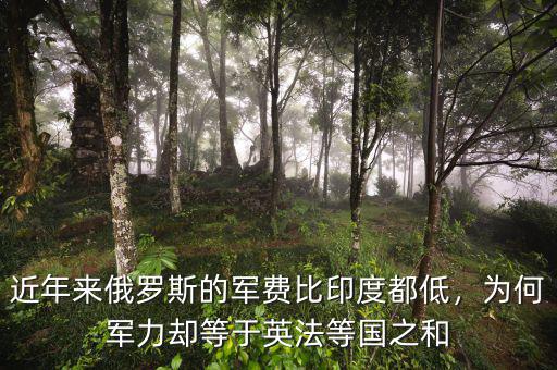 近年來俄羅斯的軍費(fèi)比印度都低，為何軍力卻等于英法等國之和